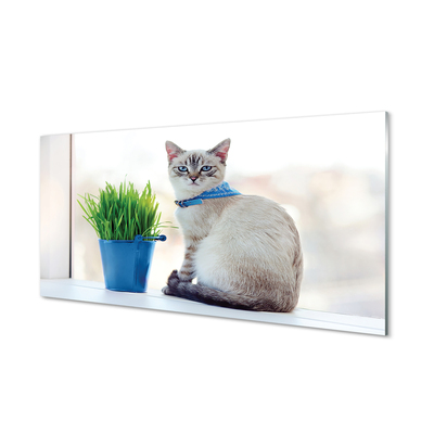 Obraz na skle sedící kočka