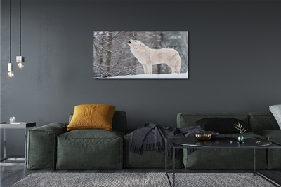 Obraz na skle Vlk v zimě lese