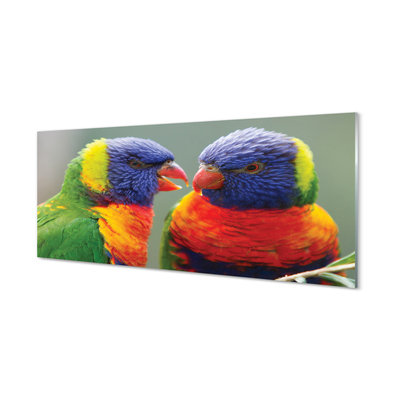 Obraz na skle barevný papoušek