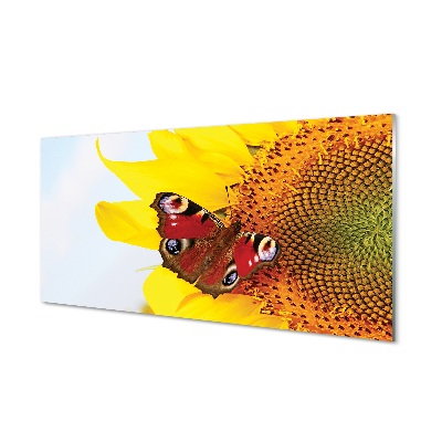 obraz-na-skle-slunecnice-motyl