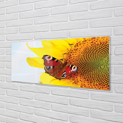 Obraz na skle slunečnice motýl