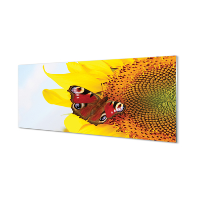Obraz na skle slunečnice motýl
