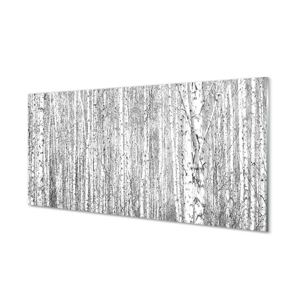 Obraz na skle Černá a bílá strom les