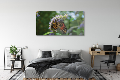 Obraz na skle Květ barevný motýl