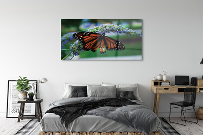 Obraz na skle Motýl na květině