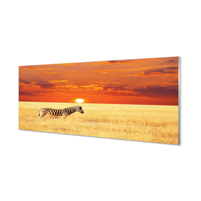 Obraz na skle Zebra pole sunset