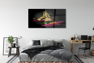 Obraz na skle Motýl na květině