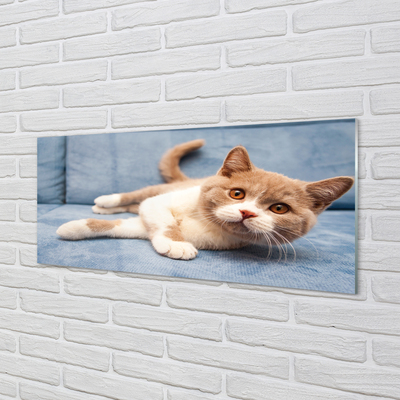 Obraz na skle ležící kočka
