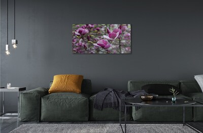 Obraz na skle fialové magnolie