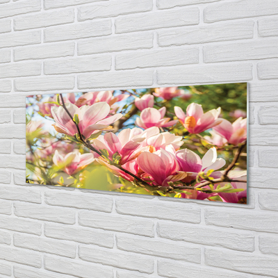 Obraz na skle růžová magnolie