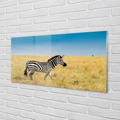 Obraz na skle Zebra box