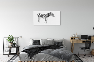 Obraz na skle malované zebra