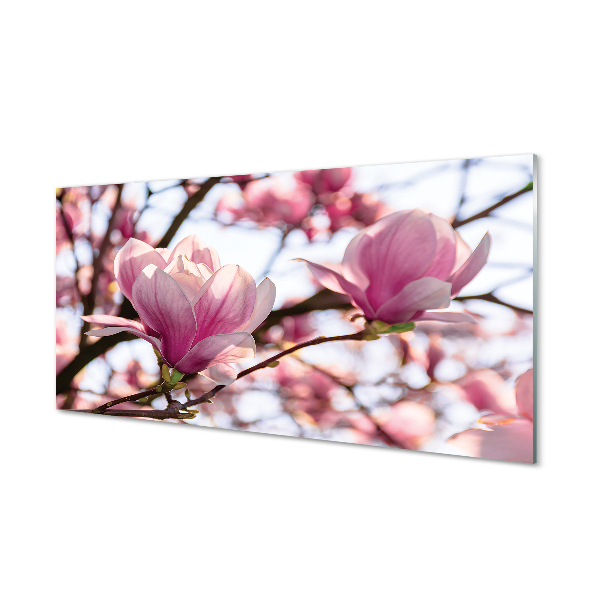 obraz-na-skle-magnolie-strom