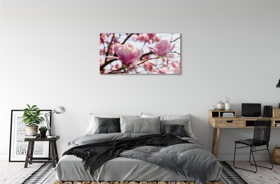Obraz na skle magnolie strom