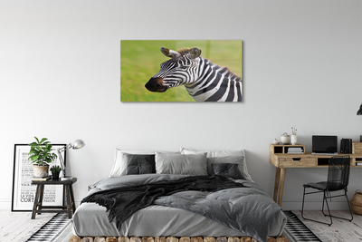 Obraz na skle zebra