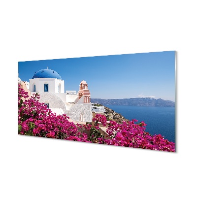 Obraz na skle Řecko květiny mořské stavby