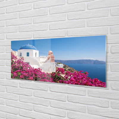 Obraz na skle Řecko květiny mořské stavby