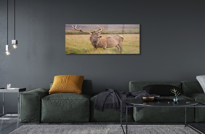 Obraz na skle polní jelen
