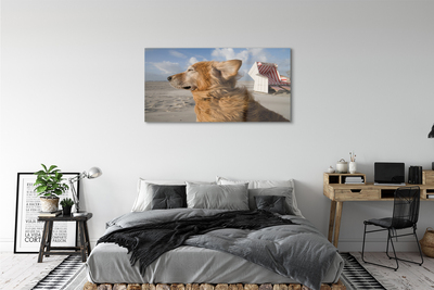 Obraz na skle Hnědý pes beach