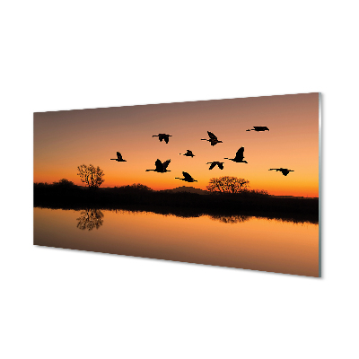 obraz-na-skle-letajici-ptaky-sunset