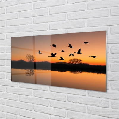 Obraz na skle Létající ptáky sunset