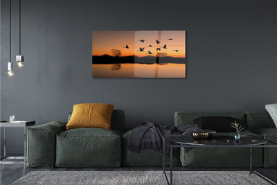 Obraz na skle Létající ptáky sunset