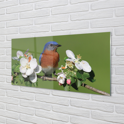 Obraz na skle Květiny barevné papoušek