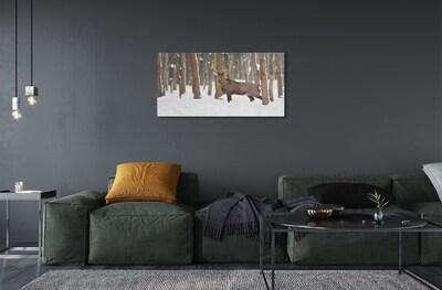 Obraz na skle Jelen zimní les