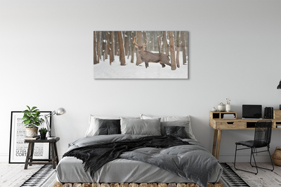 Obraz na skle Jelen zimní les