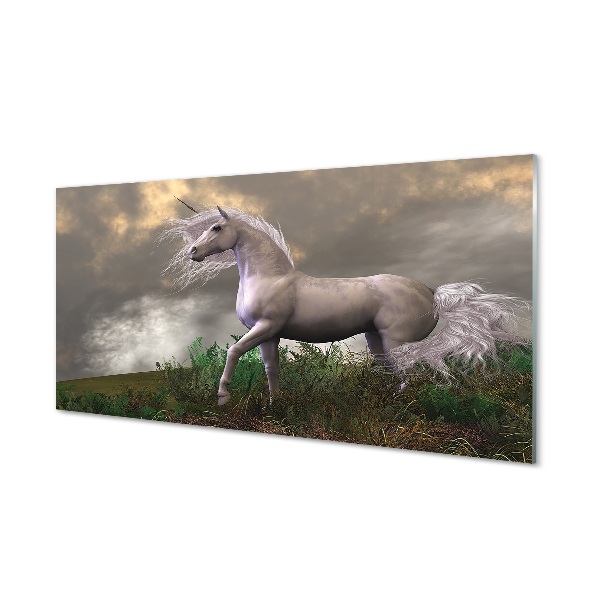 Obraz na skle Unicorn mraky