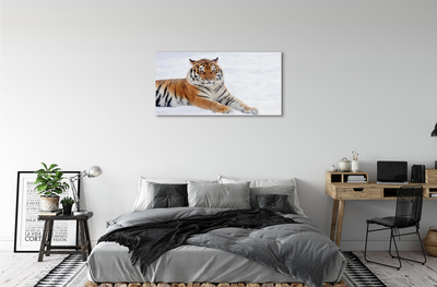Obraz na skle Tiger winter