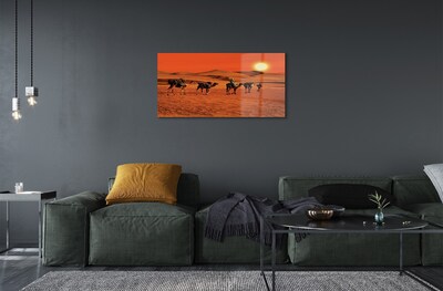 Obraz na skle Velbloudi lidí pouštní slunce nebe