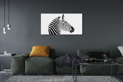 Obraz na skle Ilustrace zebra