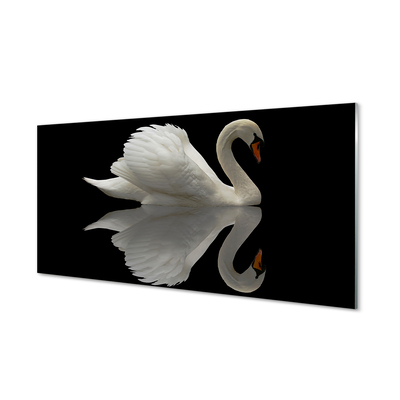 Obraz na skle Swan v noci