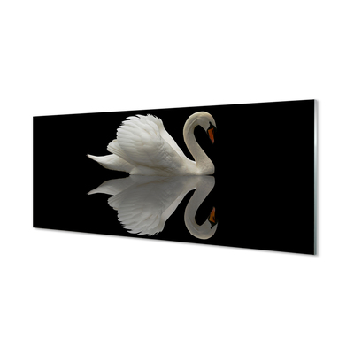 Obraz na skle Swan v noci