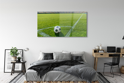 Obraz na skle Fotbalový stadion trávy