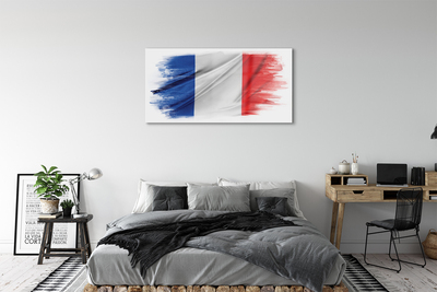 Obraz na skle vlajka Francie