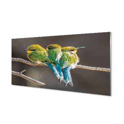 Obraz na skle Ptáci na větvi