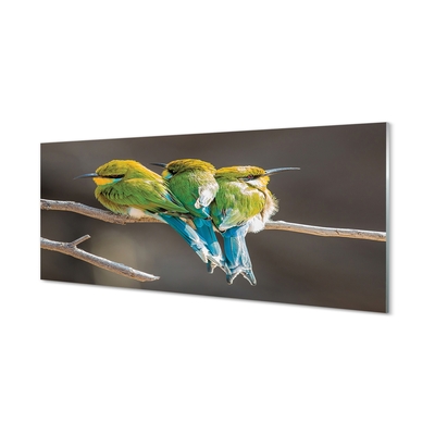 Obraz na skle Ptáci na větvi