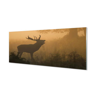 Obraz na skle jelen sunrise