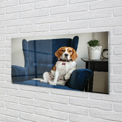 Obraz na skle sedící pes