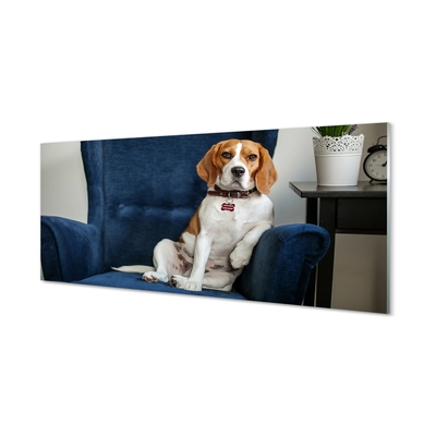 Obraz na skle sedící pes