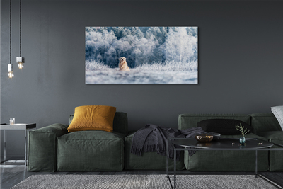 Obraz na skle Zimě salašnický pes