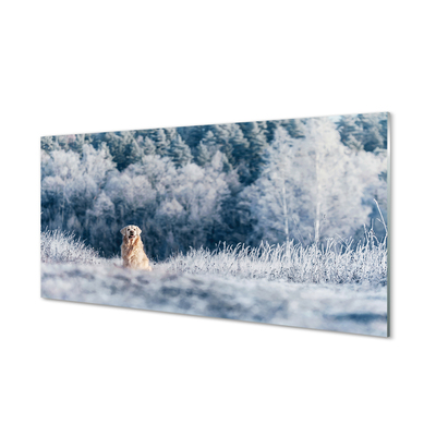 Obraz na skle Zimě salašnický pes