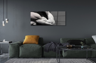 Obraz na skle Sval black and white