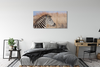 Obraz na skle zebra