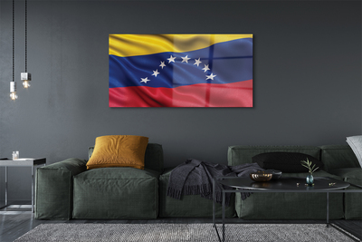 Obraz na skle vlajka Venezuely