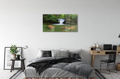 Obraz na skle vodopád tygři