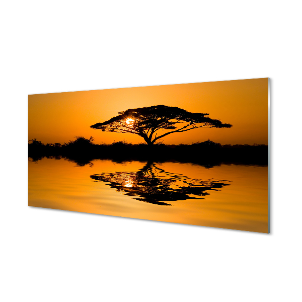 Obraz na skle Sunset tree