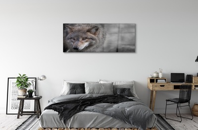 Obraz na skle Vlk